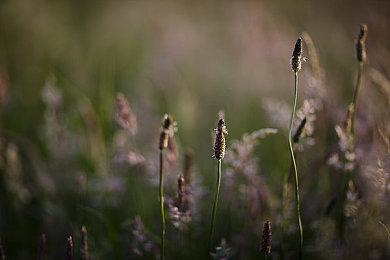 《GTA：三部曲-终极版》预告删除种族主义元素